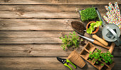 Gardening tools, seeds and soil on wooden table
