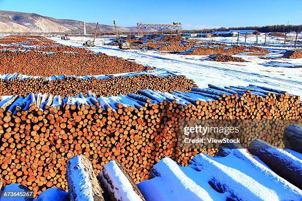 Chinese Log Riding Logging In China Photos and Premium High Res Pictures - Getty Images
