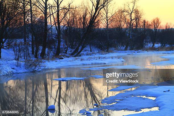 heilongjiang province, greater khingan range snow,china - província de heilongjiang imagens e fotografias de stock