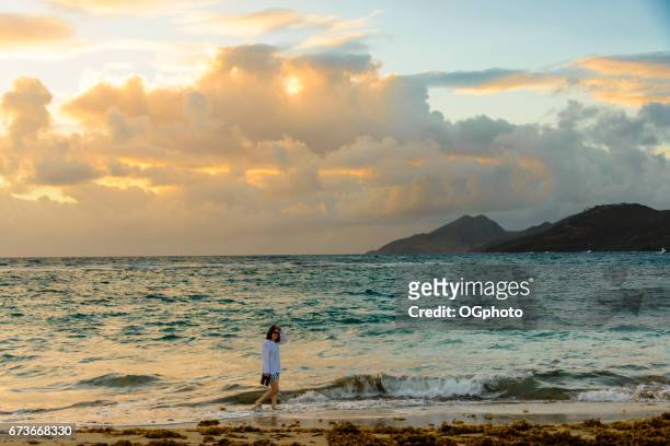 woman walking on the beach in the early morning. - ogphoto stock pictures, royalty-free photos & images