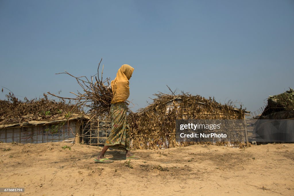 The Rohingyas: A People Without A Home