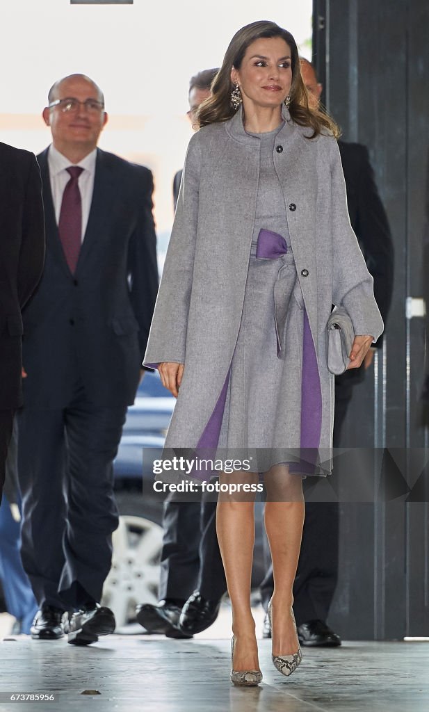 Queen Letizia Of Spain Attends Educative Congress Of Rare Diseases in Valencia