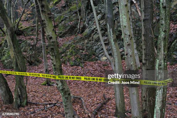 policeline do not cross - forest crime scene stock pictures, royalty-free photos & images