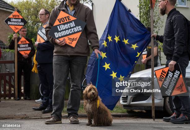 Cockapoo dog 'Bonnie' is seen next to a European Union flag and Liberal Democrats supporters as party leader Tim Farron campaigns for the British...