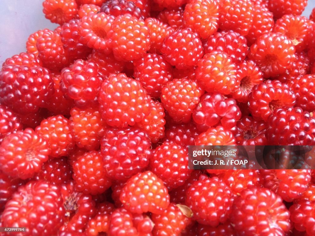 Close-up of raspberries