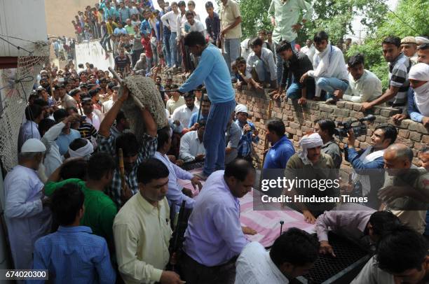 Eager locals come out to see the leopard and get pictures clicked in Durga colony of Sohna, on April 27, 2017 some 25 km from Gurgaon, India.