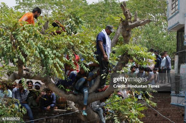 People stand on the roof and trees to see the leopard in Durga colony of Sohna, on April 27, 2017 some 25 km from Gurgaon, India.