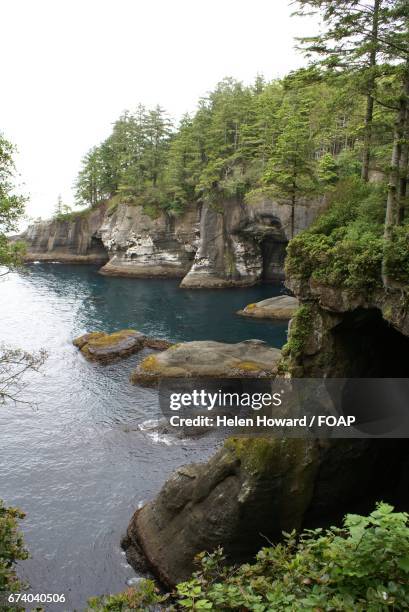 cape flattery - cape flattery 個照片及圖片檔