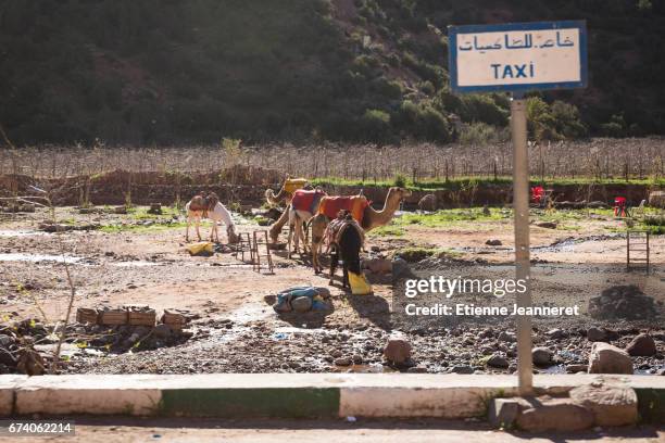 taxi and camels, morocco 2017 - signalisation routière stock pictures, royalty-free photos & images