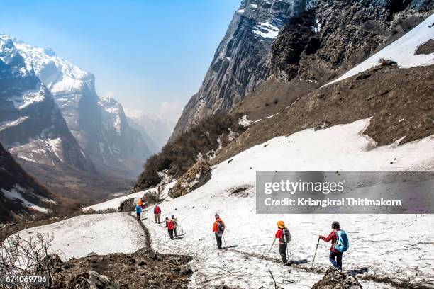 annapurna base camp trekking: trekkers were walking down from base camp. - annapurna stockfoto's en -beelden