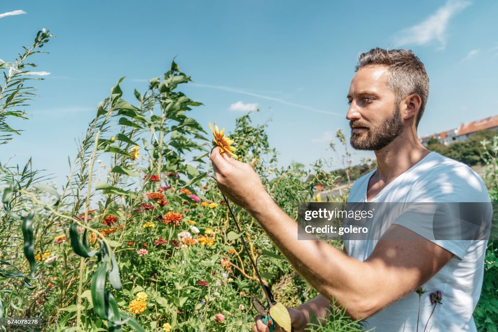 Bearded handsome grey haired man in summer garden