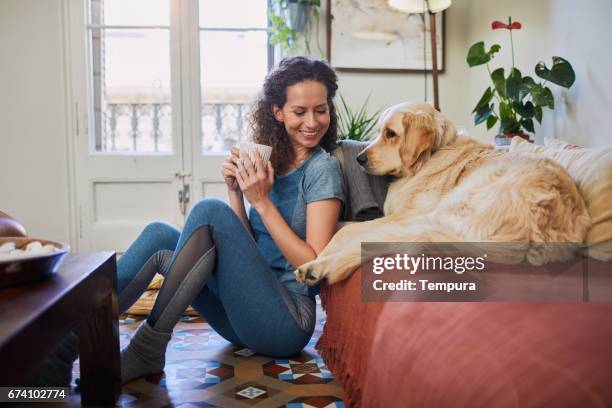 single, woman at home with technology. - curly dog stock pictures, royalty-free photos & images