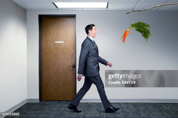 geschäftsmann nach baumelnden möhre im büro - dangling a carrot stock-fotos und bilder