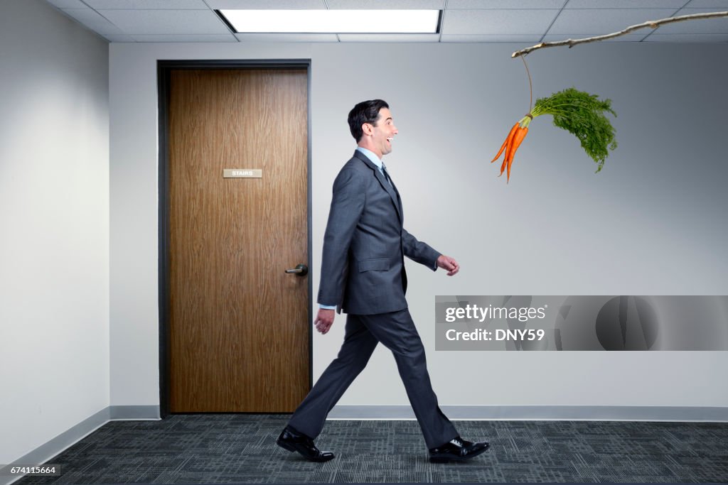 Businessman Following Dangling Carrot In Office
