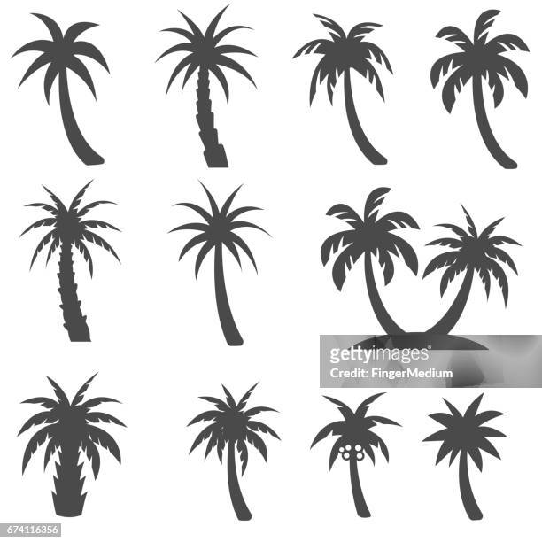 ilustraciones, imágenes clip art, dibujos animados e iconos de stock de conjunto de iconos de árboles de palma - palmera