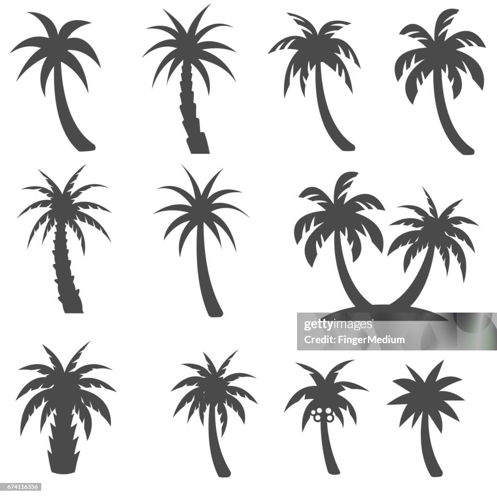 Palm trees icons set