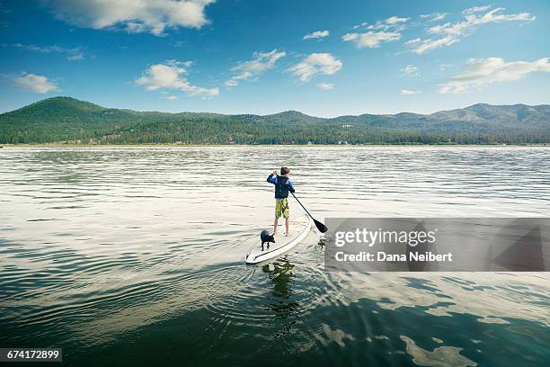 a boy and his dog paddle boarding. - surf dog competition stock pictures, royalty-free photos & images