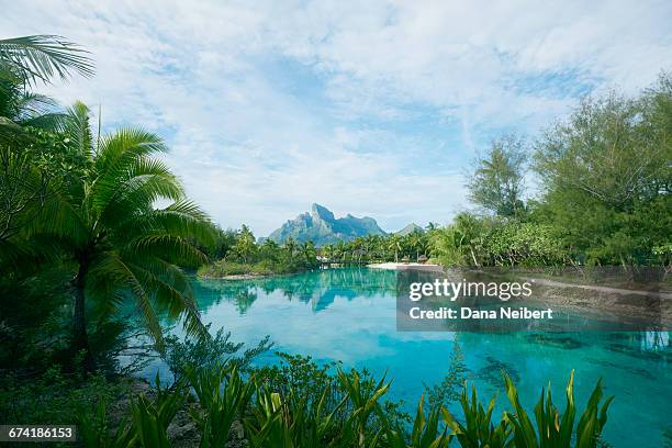 bora bora volcano and lagoon. - bora bora atoll stock-fotos und bilder