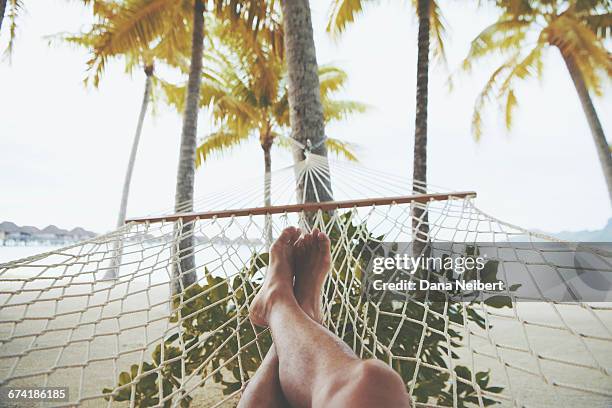 relaxing feet on a beach hammock. - hammock imagens e fotografias de stock