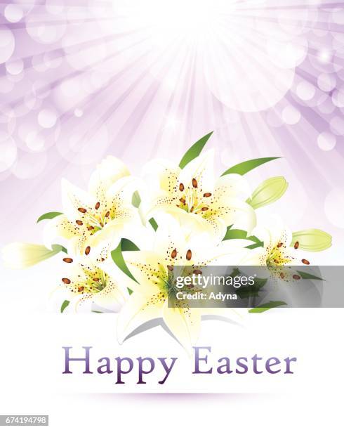 easter lily - easter lily stock illustrations