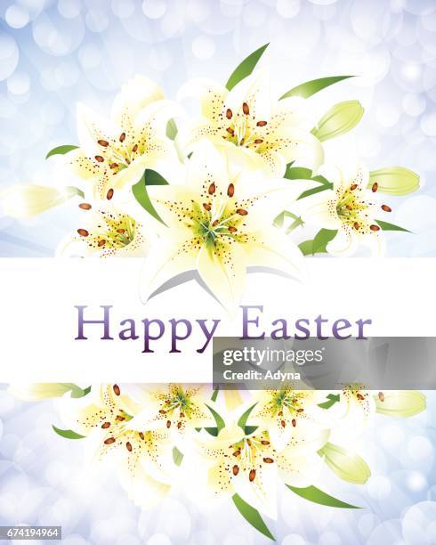 beautiful easter lily - easter lily stock illustrations