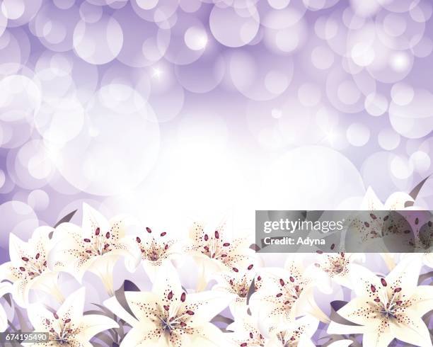 lily background - easter lily stock illustrations