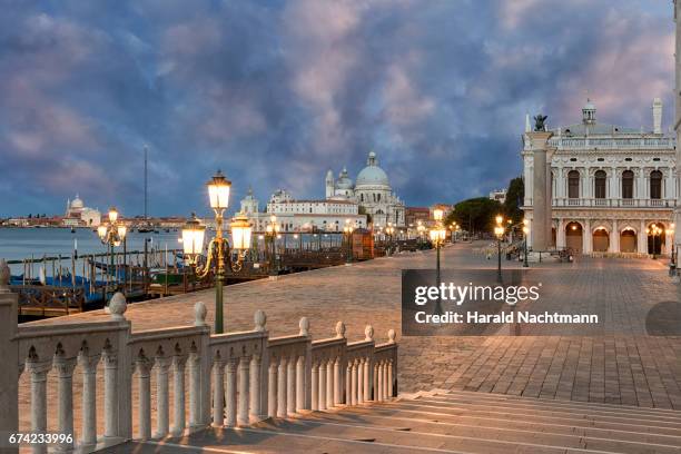 promenade at night - venezien photos et images de collection