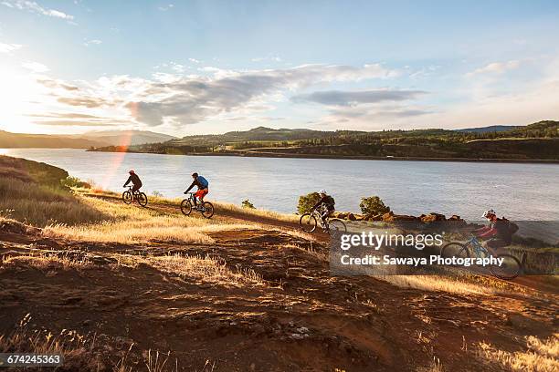 mountain bikers ride along columbia river. - columbia river stock pictures, royalty-free photos & images