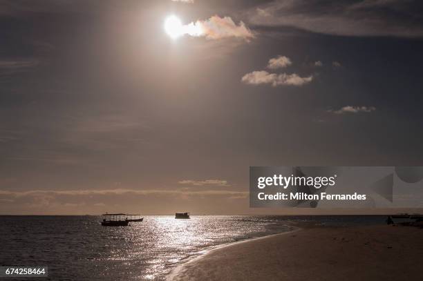 praia dos carneiros - pernambuco - brasil - veículo aquático stockfoto's en -beelden