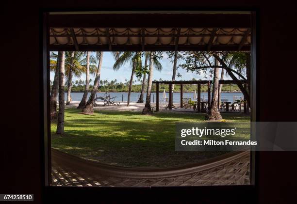 praia dos carneiros - pernambuco - brasil - janela ストックフォトと画像