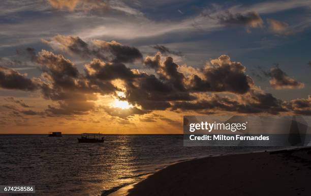 praia dos carneiros - pernambuco - brasil - o amanhecer stock pictures, royalty-free photos & images