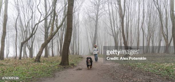 attractive mature, 50-years-old, woman walking the dog in the foggy forest - 50 54 years imagens e fotografias de stock