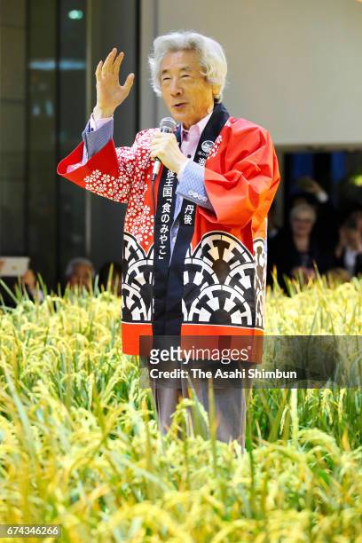Former Prime Minister Junichiro Koizumi talks to participants prior to harvesting from a rice paddy at Pasona Holdings headquarters on April 27, 2017...