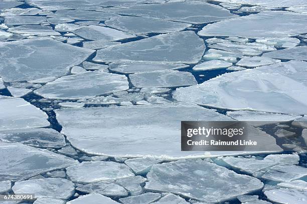 broken pack ice and ice floes - bloco de gelo flutuante - fotografias e filmes do acervo