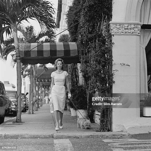 Mrs. Guilford Dudley, JR. Wears a De De Johnson lace dress as she walks her Dandie Dinmont Terrier 'Tiger' on Worth Avenue, Palm Beach, Florida,...