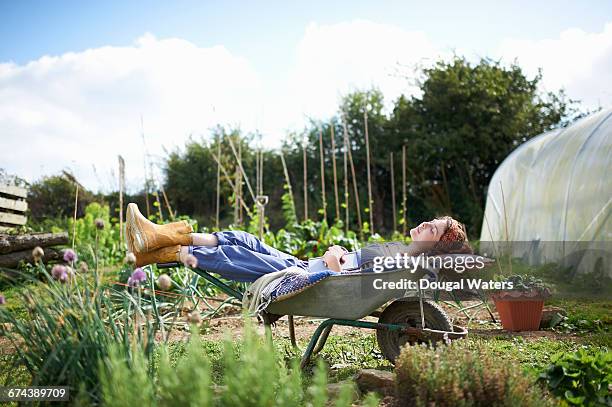woman sleeping in wheelbarrow on allotment. - kruiwagen stockfoto's en -beelden