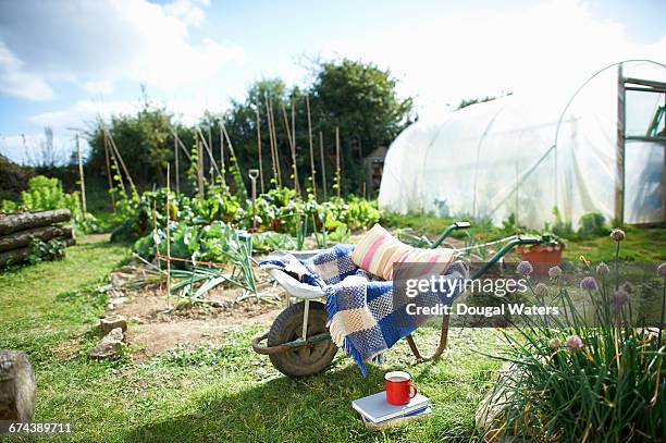 cup of tea and book with wheelbarrow on allotment. - cloche stock pictures, royalty-free photos & images
