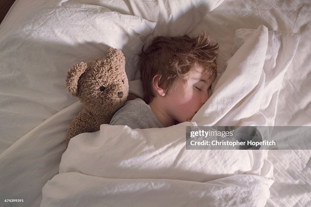 Sleeping boy with teddy bear