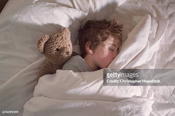sleeping boy with teddy bear - boys bedroom stock pictures, royalty-free photos & images