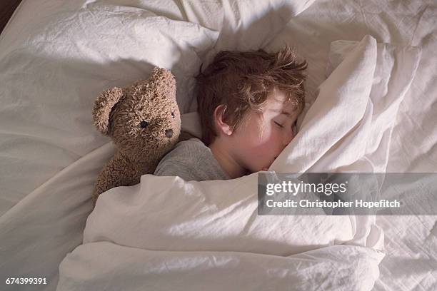 sleeping boy with teddy bear - edredom - fotografias e filmes do acervo