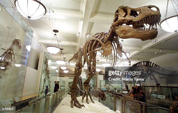 Visitors view a sparsely-attended dinosaur exhibit at the American Museum of Natural History November 29, 2001 in New York City. New York cultural...