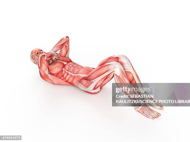 person doing sit ups - lying on back exercise stock illustrations