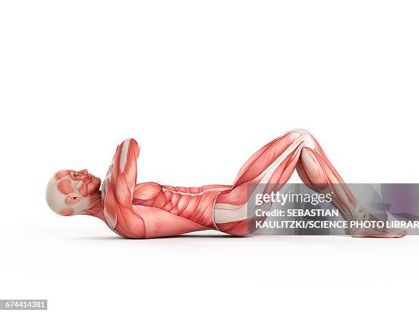 person doing sit ups - lying on back exercise stock illustrations