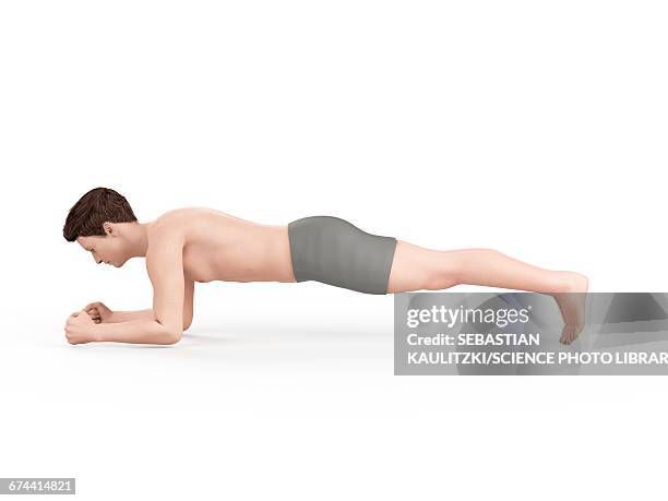 person doing plank - plank exercise stock illustrations