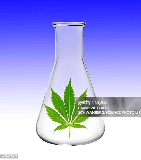flask with cannabis leaf, illustration - hemp stock illustrations