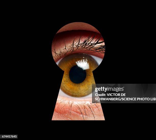 568 Ilustraciones de Ojos Marrones - Getty Images 568 Ilustraciones de Ojos Marrones - Getty Images