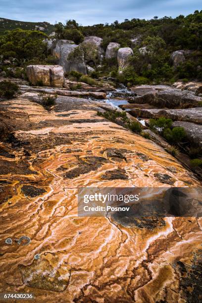 waychinicup river in waychinicup national park, western australia - albany western australia photos et images de collection