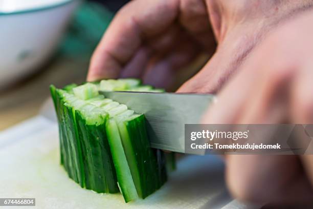 cucumber - menschliche hand 個照片及圖片檔