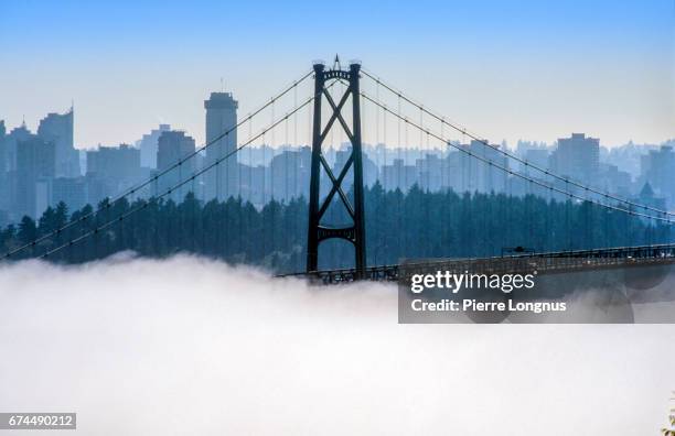 lions' gate bridge emerging from the mist, vancouver, british columbia, canada - stanley park fotografías e imágenes de stock