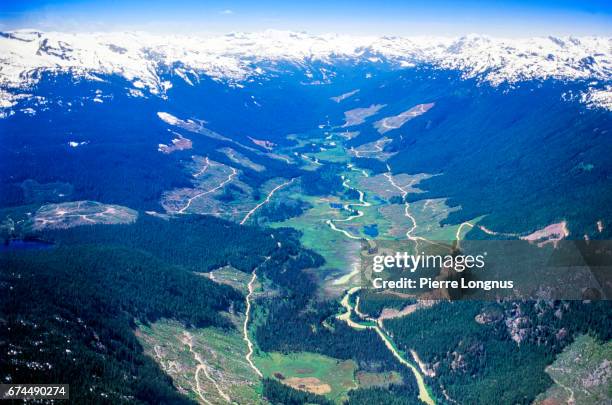 logging in the pemberton valley region, british columbia, canada - pemberton valley stock pictures, royalty-free photos & images